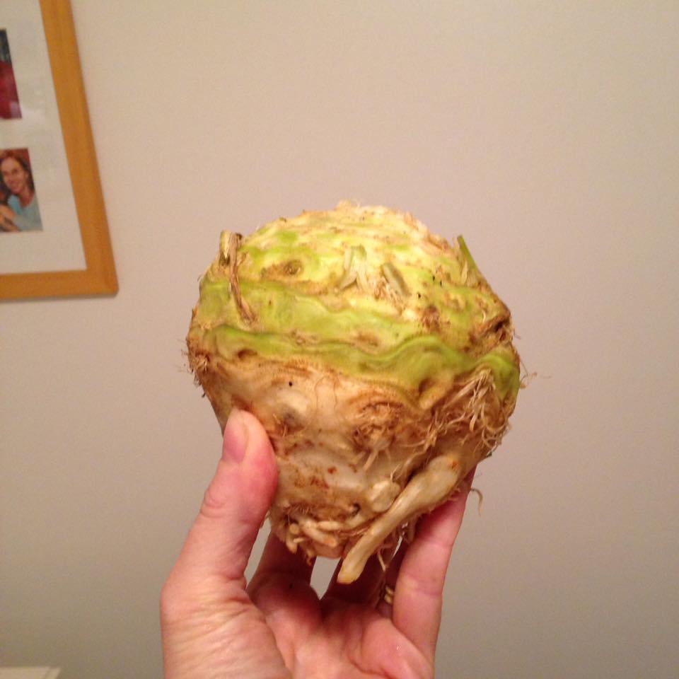 14502935_1395454473816206_8567946592898185089_n